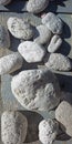 Pile of pumice big and small on old timber Royalty Free Stock Photo