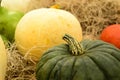 Pile of pumkins Royalty Free Stock Photo