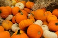 Pile of pumkins Royalty Free Stock Photo