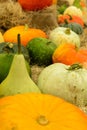 Pile of pumkins Royalty Free Stock Photo