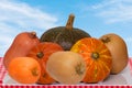 Pile of pumpkins. Close-up of a stack decorative colorful pumpkins on a table in front of abstract blurred natural blue sky