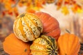 Pile of pumpkins. Close-up of a stack decorative colorful pumpkins on a wooden table against abstract blurred natural autumn