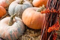 A pile of pumpkins of different colors and sizes lies on the straw at the farmer& x27;s market. Pumpkin is a useful fruit for Royalty Free Stock Photo