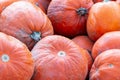 Pile of pumpkins good and bad in one, pumpkins, halloween pumpkins, roadside Bavaria province