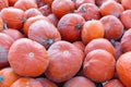 Pile of pumpkins good and bad in one, pumpkins, halloween pumpkins, roadside Bavaria province