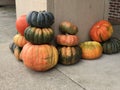 Pumpkins fall autumn seasonal background