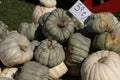 Pile of Pumpkins at a road side stand