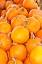 Pile of pumpkins for sale to celebrate halloween Royalty Free Stock Photo