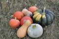 Pile Of Pumpkins, Squashes And Gourds