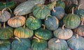 Pile of pumpkins texture background in market Royalty Free Stock Photo