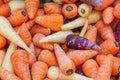 Pile of purple, orange and white Chantenay carrots