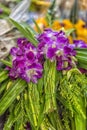 Pile of purple orchid flowers stacked Royalty Free Stock Photo