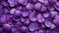 A pile of purple shells, beautiful, exquisite