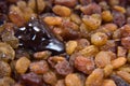 Pile of raisins covered with melt chocolate Royalty Free Stock Photo