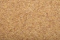 Pile of raw barley, natural grain background, cereal backdrop, brown yellow beige colour, textured backgrounds, texturing seeds,