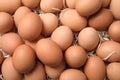 Pile of raw brown chicken eggs Royalty Free Stock Photo