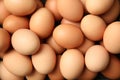 Pile of raw brown chicken eggs Royalty Free Stock Photo