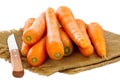 Pile of raw carrots on a burlap on a white background