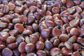 Pile of raw chestnuts