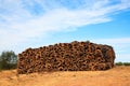 Pile of raw cork drying in the sun Royalty Free Stock Photo