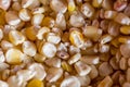 Pile of raw corn in detail