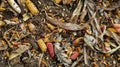 A pile of raw materials such as crop residues and food waste that are commonly used to produce biofuels. This image