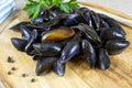 Pile of raw mussels Royalty Free Stock Photo