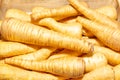 Pile of raw parsnip