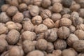 Pile of raw walnuts on the stock, close up Royalty Free Stock Photo