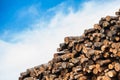 Pile of Raw Wood Logs Royalty Free Stock Photo