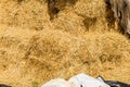 Pile of the rectangular straw bales for the background