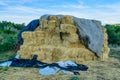 Pile of the rectangular straw bales on a farmyard