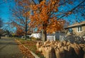 Pile of recycling bags of fallen leaves on the road side of a residential area