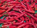 Pile of Red big Chili in the tray. Texture background of red pepper. Royalty Free Stock Photo