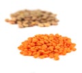 Pile red and brown lentils isolated on white background Royalty Free Stock Photo