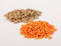 Pile red and brown lentils isolated on white background Royalty Free Stock Photo