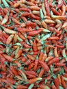 A pile of red chilies on display at a supermarket. Royalty Free Stock Photo