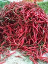 pile of red chilies ready to be marketed