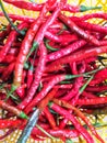 A pile of red chilies in a yellow basket Royalty Free Stock Photo