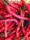 A pile of red chilies in a yellow basket Royalty Free Stock Photo