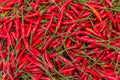 A pile of red chilli peppers