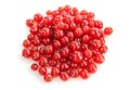 Pile of red currant fruit isolated on white background Royalty Free Stock Photo