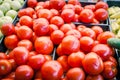 Pile of red, green tomatoes and jalapeno in plastic wood crate at farmer market in Washington, USA Royalty Free Stock Photo