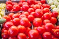 Pile of red, green tomatoes and jalapeno in plastic wood crate at farmer market in Washington, USA Royalty Free Stock Photo