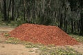 Pile of Red Gum Wood-chipped Mulch with Bush Land in Background