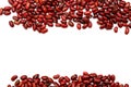 Pile of red kidney bean, canned beans isolated on white background Royalty Free Stock Photo