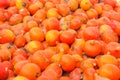 Pile of red kuri squash pumpkins