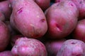 NY118 Red Potatoes at Farmer`s market Royalty Free Stock Photo