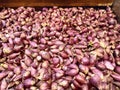 Pile of red onions in disp tgllay at the market Royalty Free Stock Photo