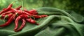 Pile of Red Peppers on Green Cloth Royalty Free Stock Photo